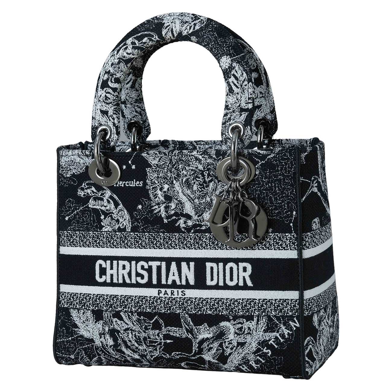 CHRISTIAN DIOR(USED)크리스찬디올 레이디 디라이트 미듐